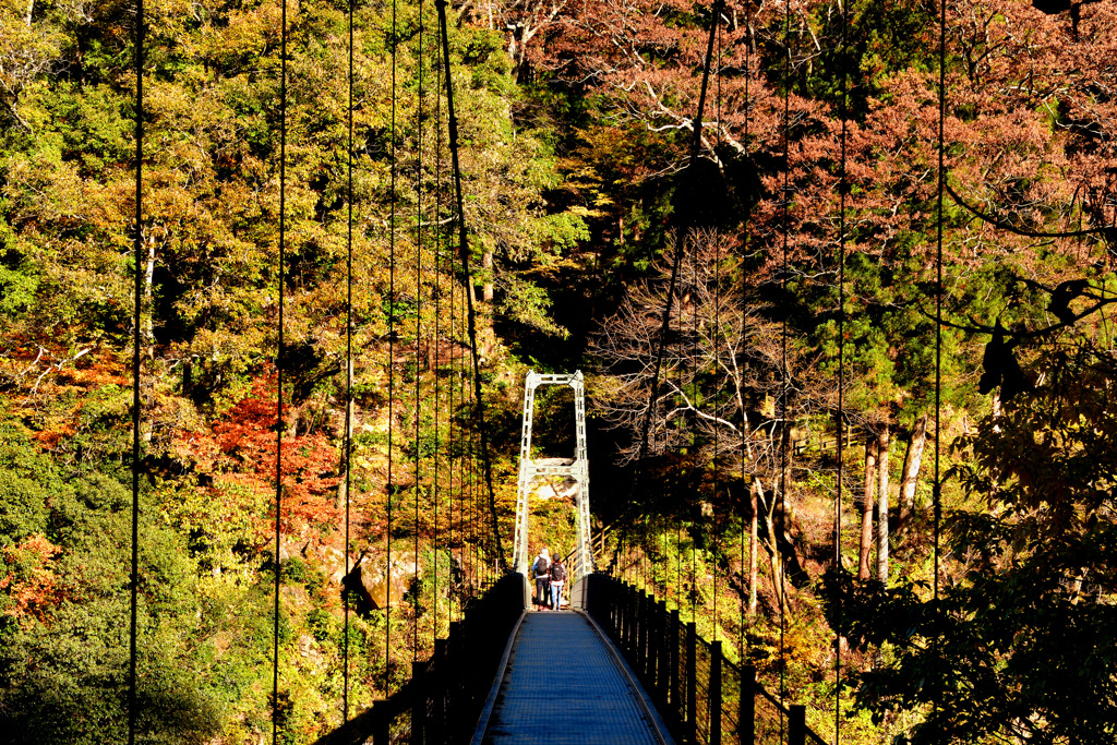 渓谷の歩道橋