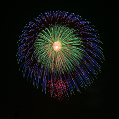 三重芯変化菊