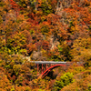 秋に染まる渓谷の赤橋