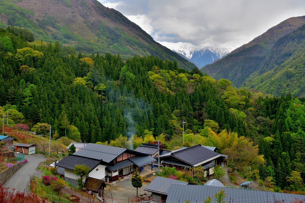 新緑の里山