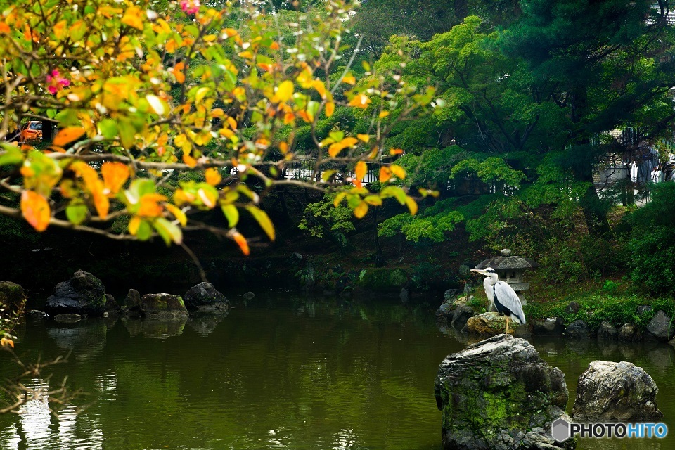 円山公園