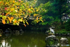 円山公園