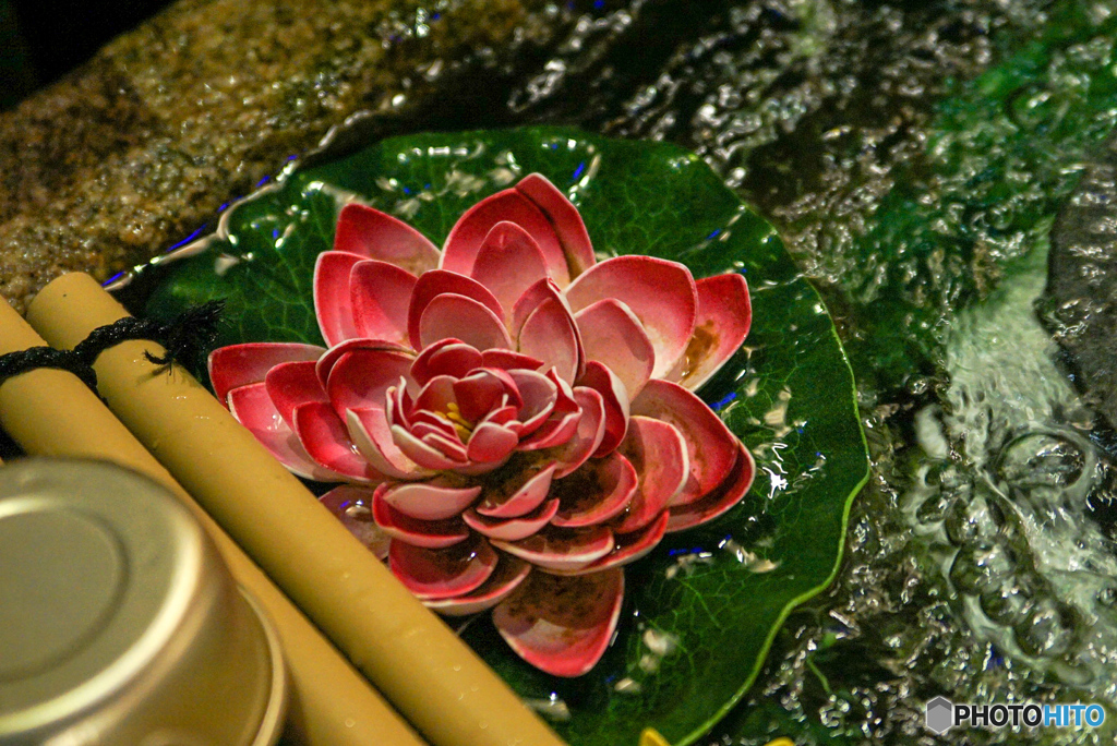 手水場に浮かぶ花