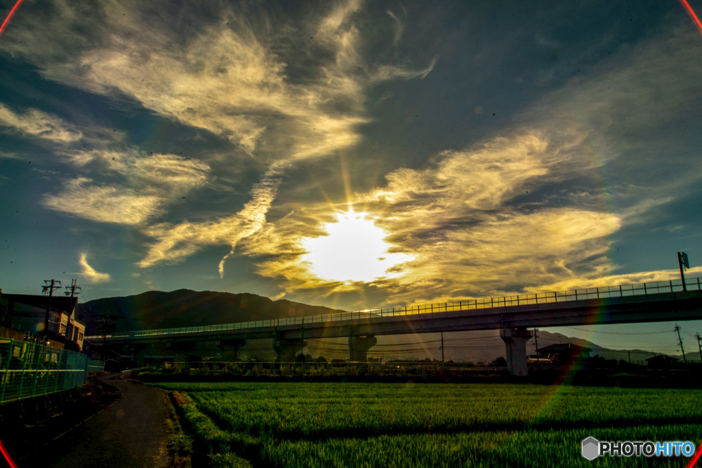 夕日№2