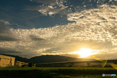 夕日№1