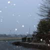 雪　