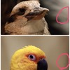 ヘルプ！ゴミが・・・・！！！！！