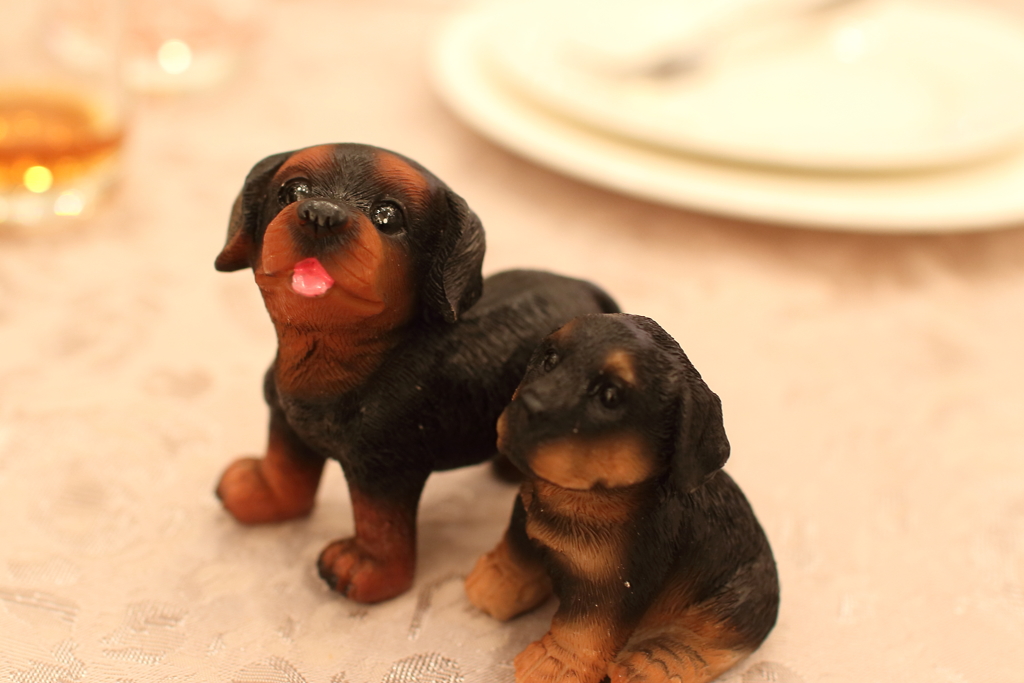犬