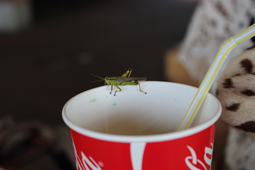 どいてくれー！！！！