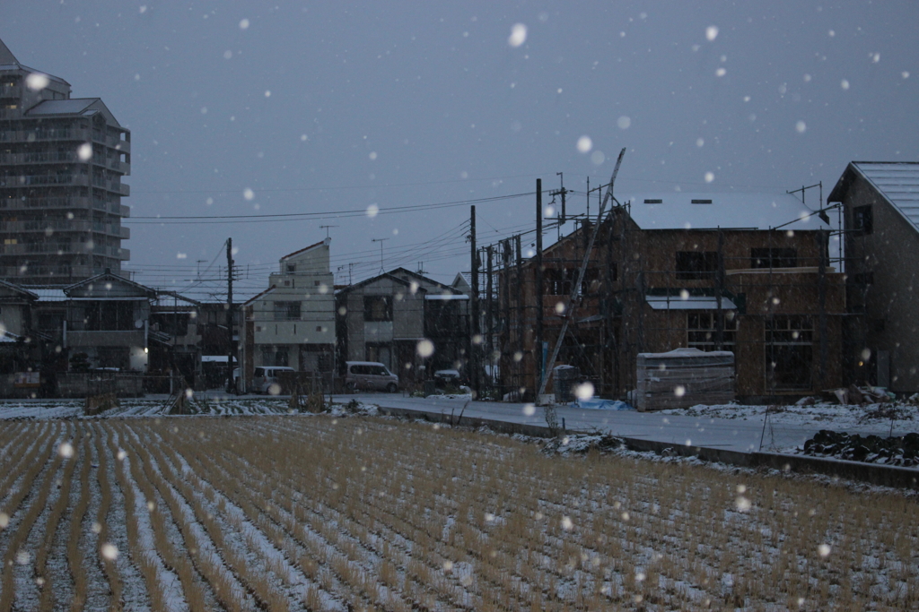 雪