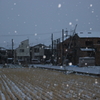 雪