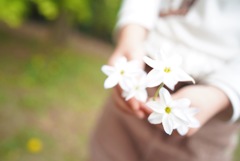 かわいいお花あったよ！