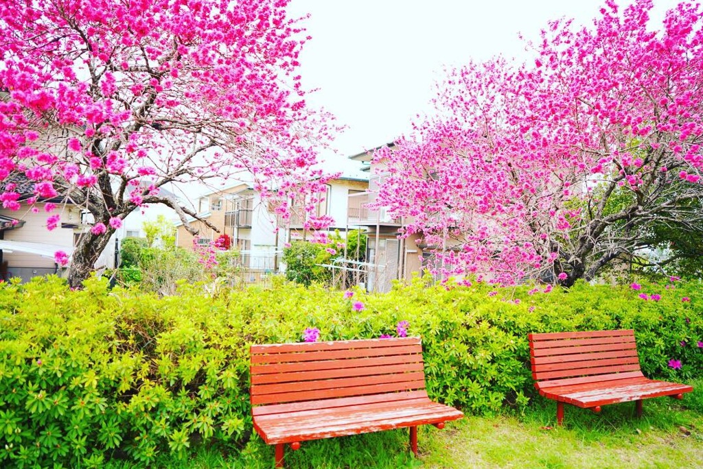 宮田公園