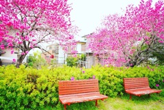宮田公園