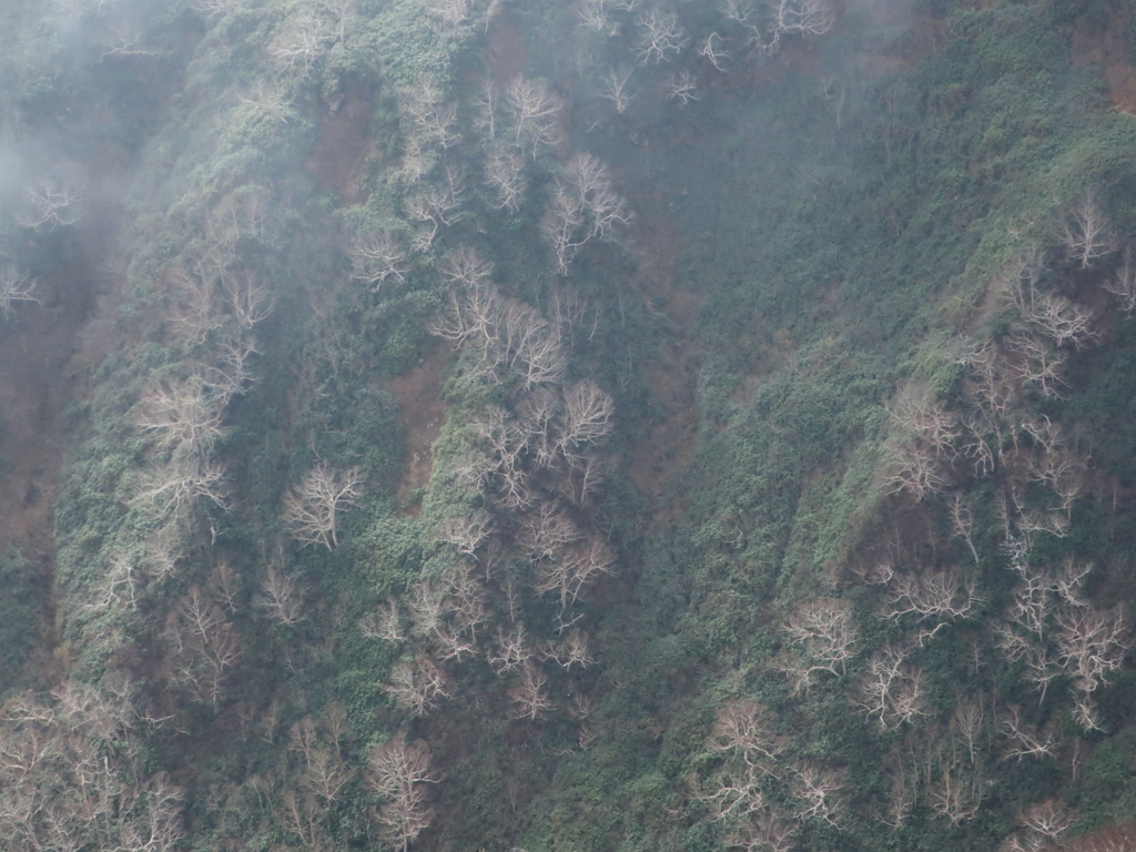 妙高山にて