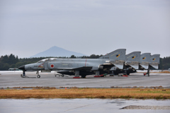 筑波山とガマガエル