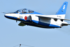 入間航空祭2024 ブルーインパルス