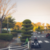 フィルムカメラ風現像