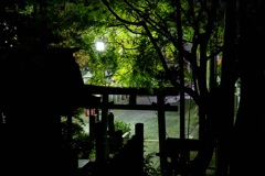 夜の三光稲荷神社②