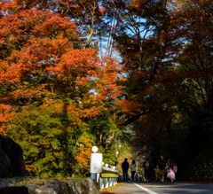 鳳来寺山もみじまつり