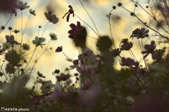 楽しかったね！　うん