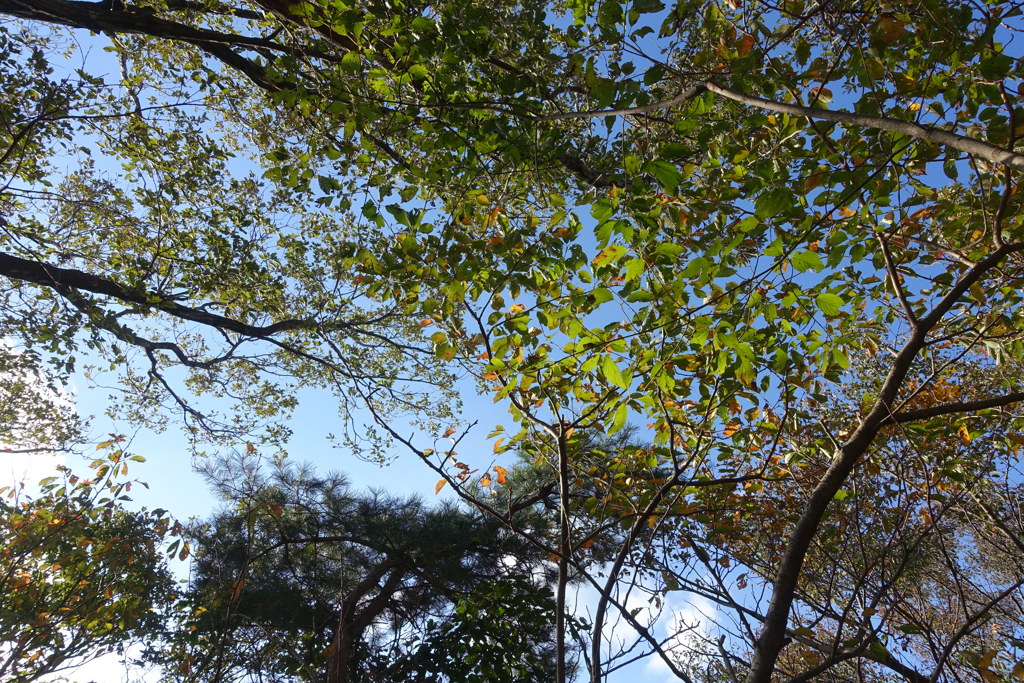 DSC00073