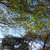 DSC00073