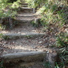 DSC00065