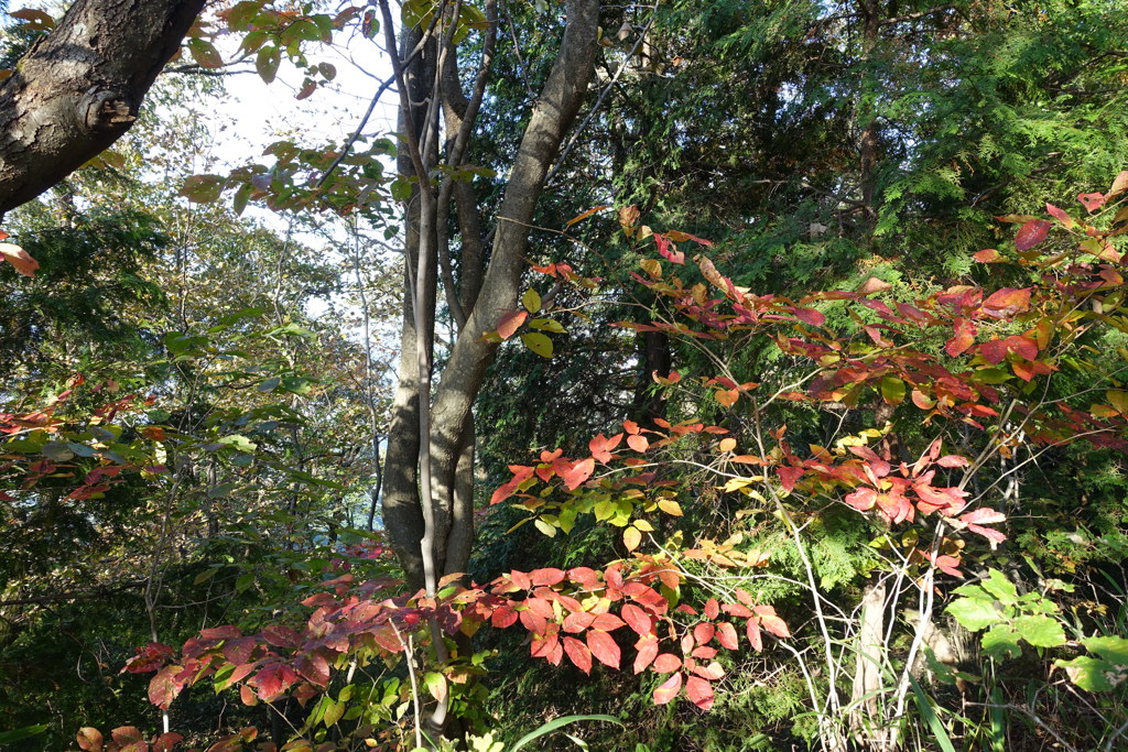 DSC00071
