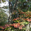 DSC00071