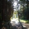 DSC00085