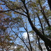 DSC00072