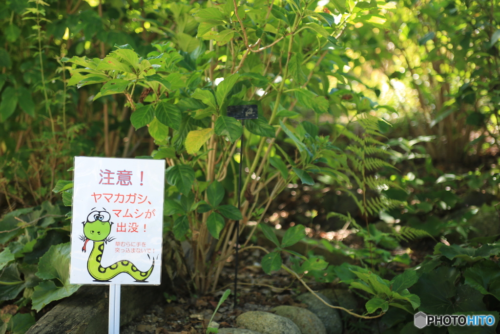 本当ですか？