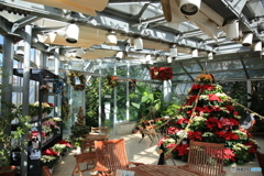 温室のクリスマス2