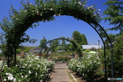 薔薇のゲート