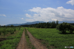 大地の道
