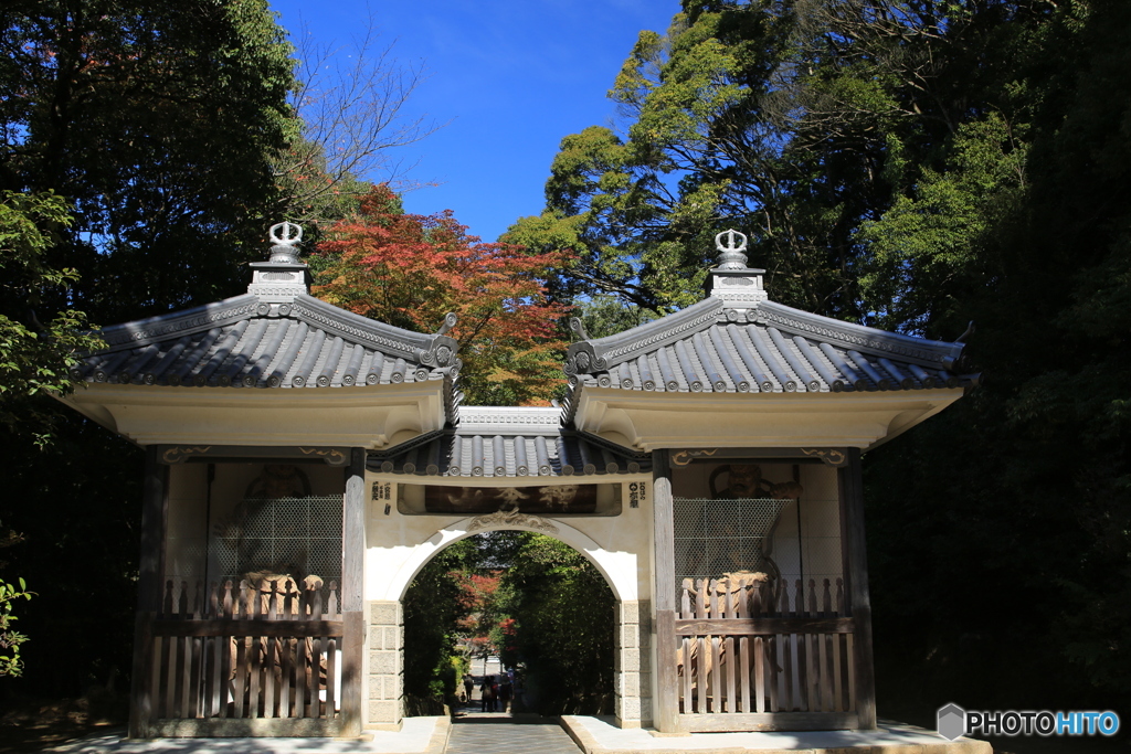 満願寺の秋の始まり