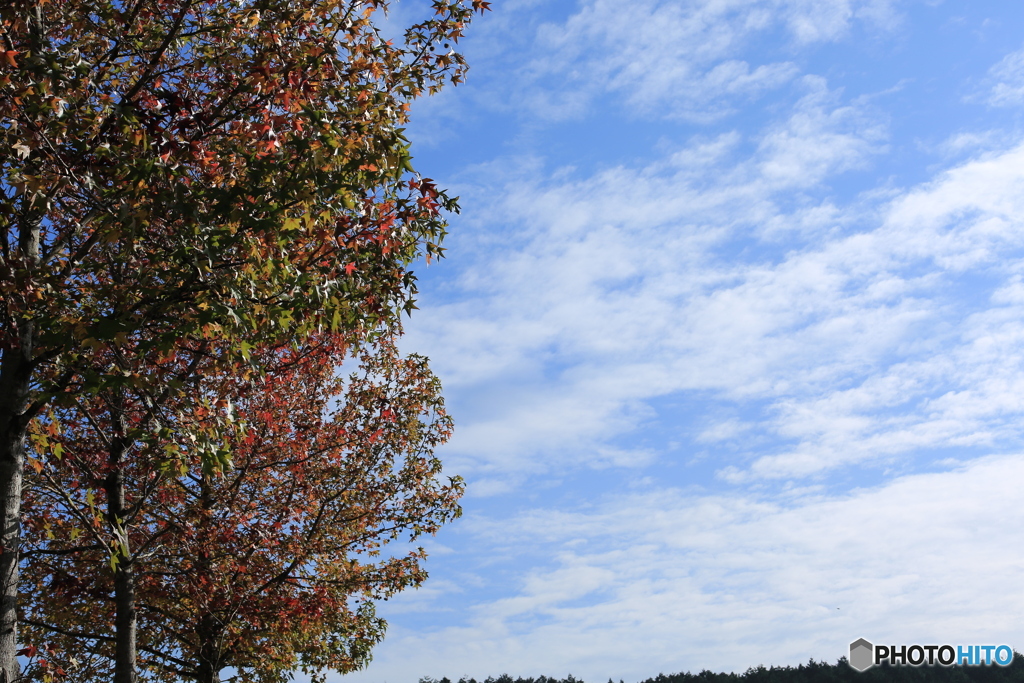 秋空