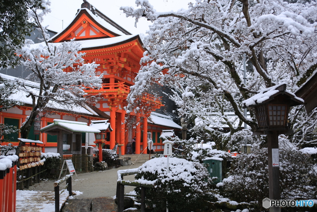 京都・上賀茂神社　雪化粧