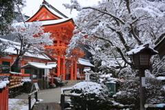 京都・上賀茂神社　雪化粧