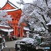 京都・上賀茂神社　雪化粧