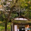 入山所
