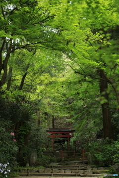 神秘てな社