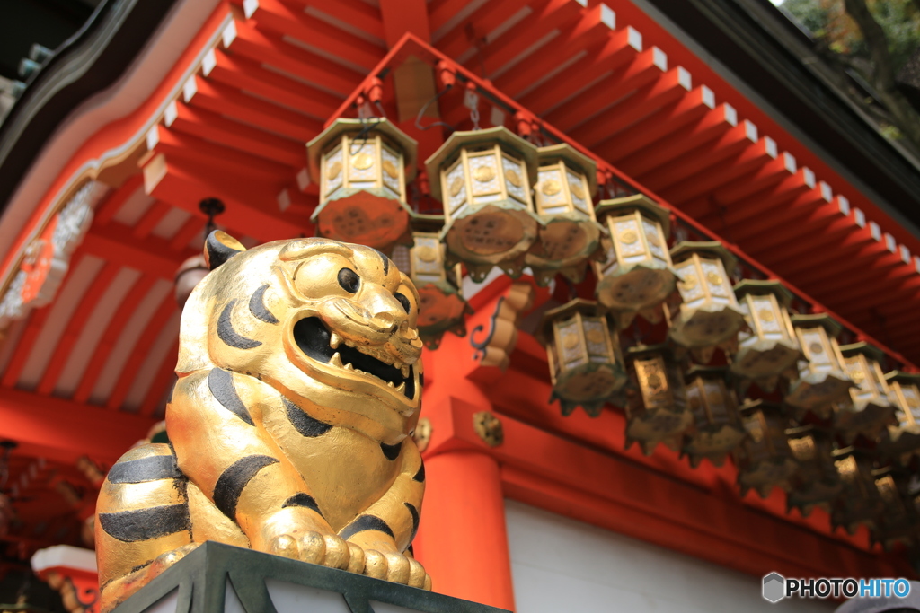 来年の干支　寅