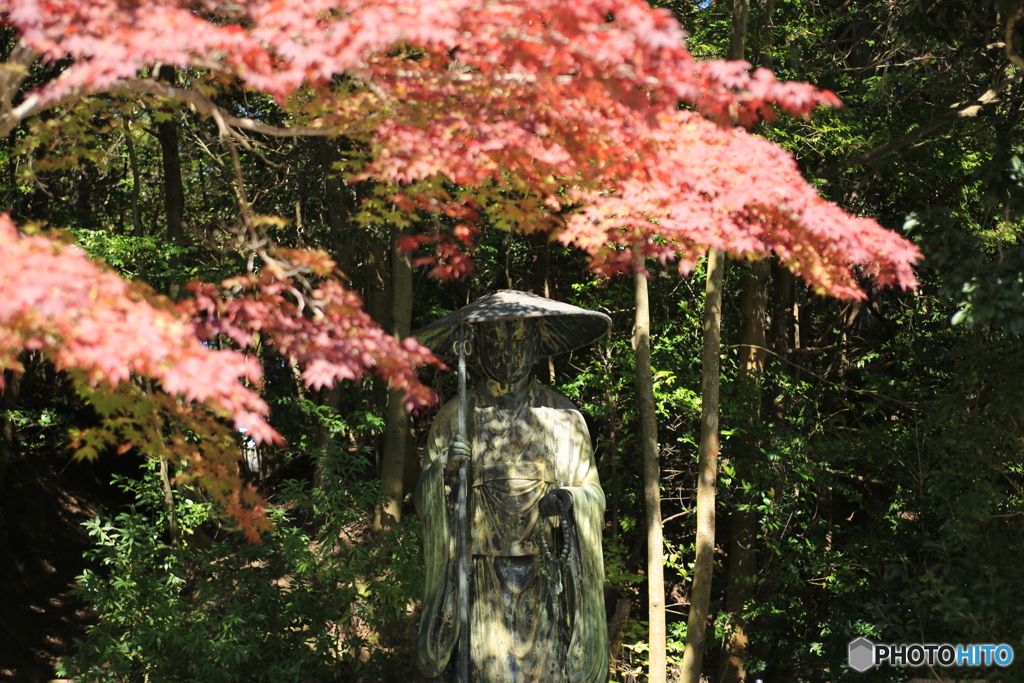 満願寺の秋の始まり3