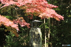 満願寺の秋の始まり3