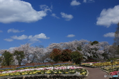 雲