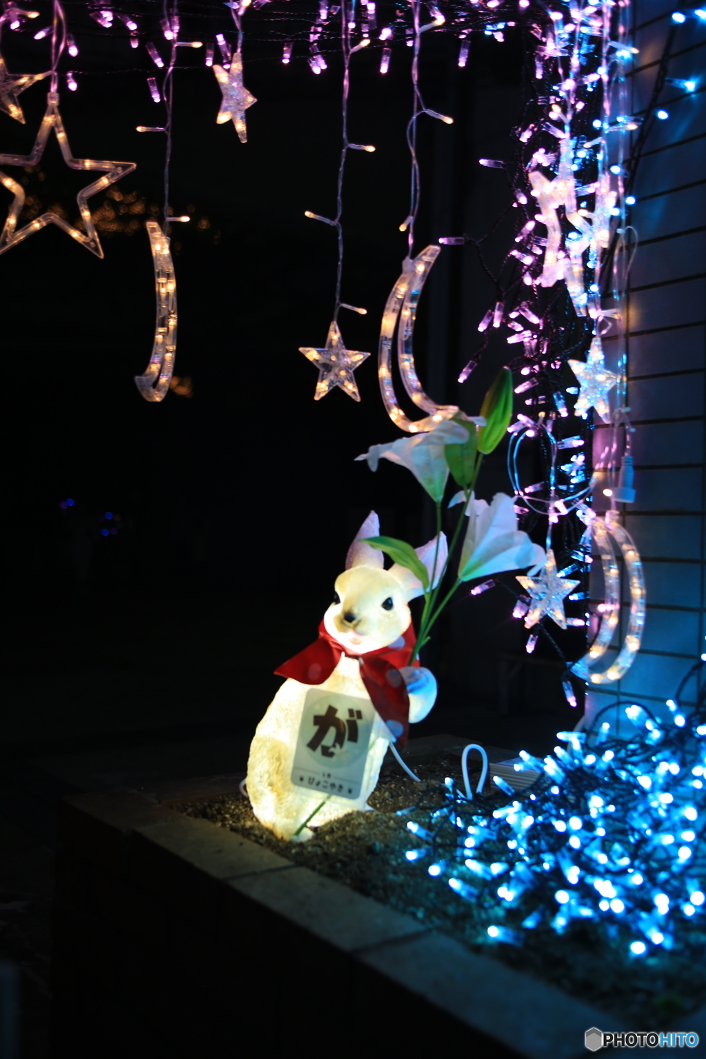 イルミネーション　3