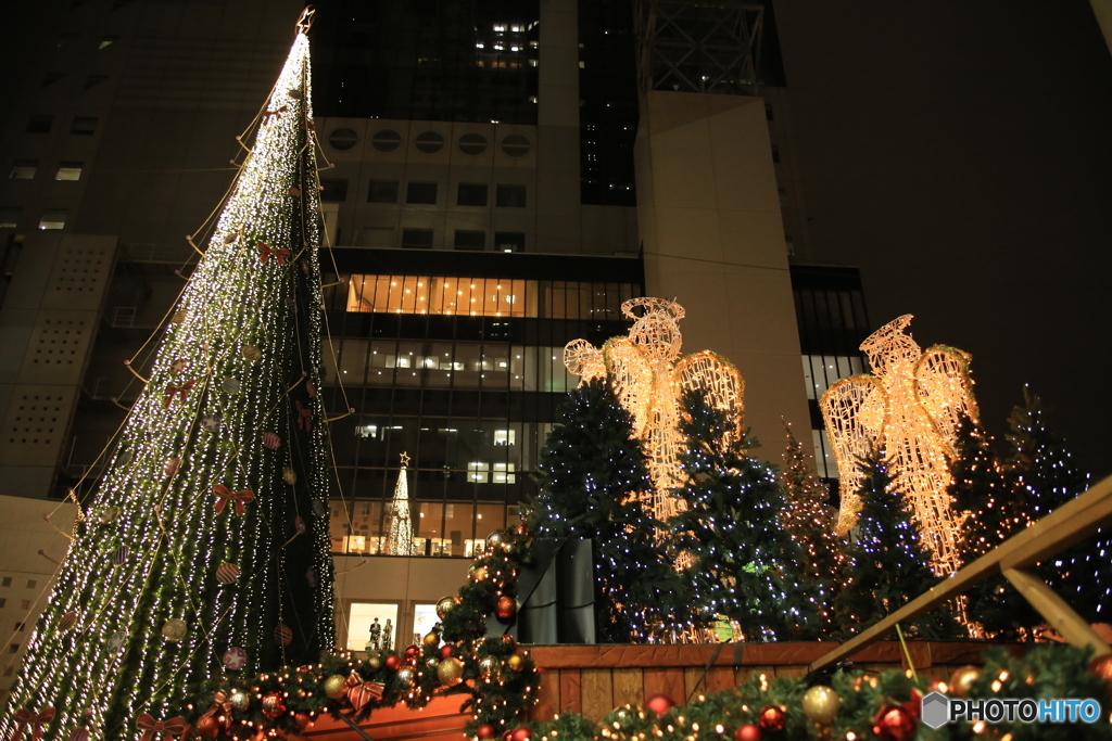 Christmas Tree