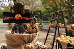 ハロウィンですか